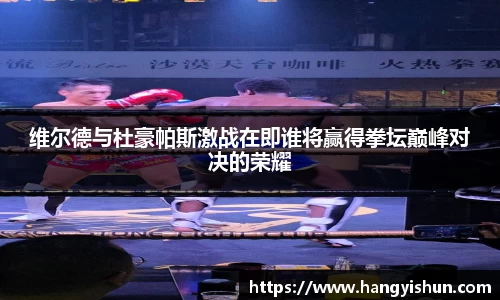 智博19