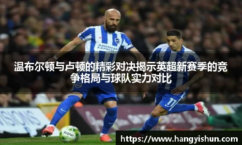 智博19有限公司