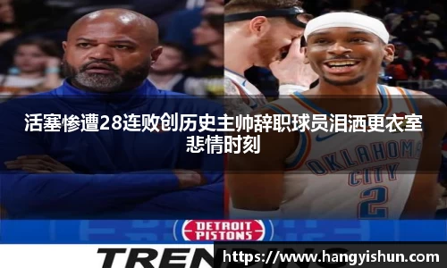 智博19