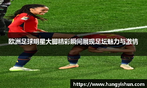 智博19有限公司